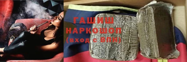 индика Белокуриха