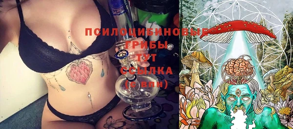 индика Белокуриха