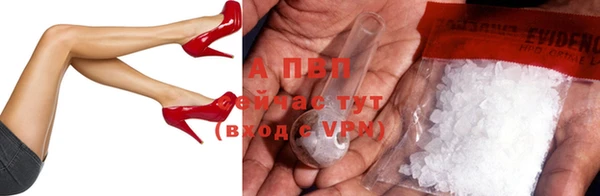 индика Белокуриха