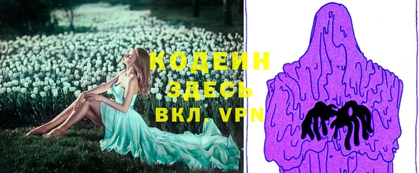 индика Белокуриха