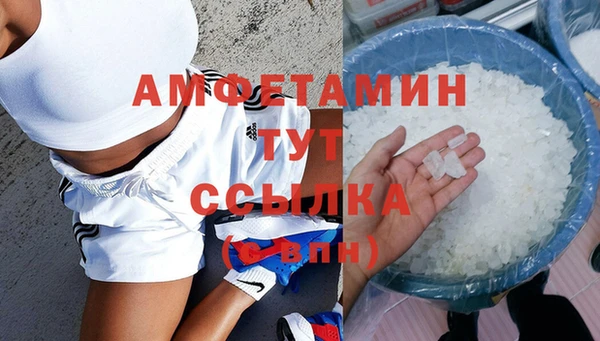 индика Белокуриха