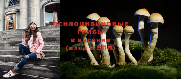 индика Белокуриха